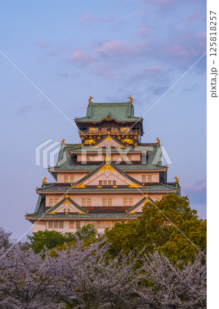 夕日に照らされる大阪城天守閣　桜咲く季節 125818257