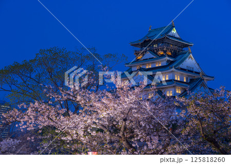 夜の大阪城天守閣　ライトアップされた夜桜 125818260