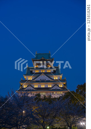 夜の大阪城天守閣　ライトアップされた夜桜 125818261