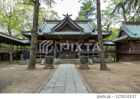 新緑に包まれる関東三雷神社の一つ金村別雷神社拝殿社殿 125818337