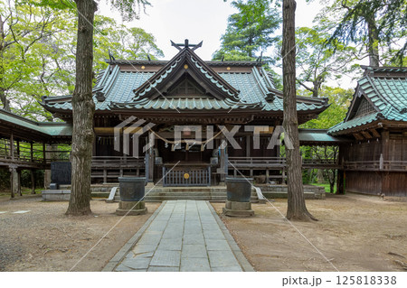 新緑に包まれる関東三雷神社の一つ金村別雷神社社殿拝殿 125818338