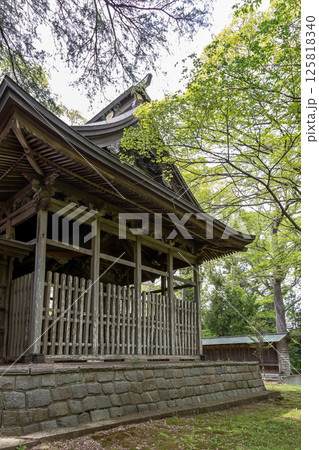 新緑に包まれる関東三雷神社の一つ金村別雷神社本殿 125818340