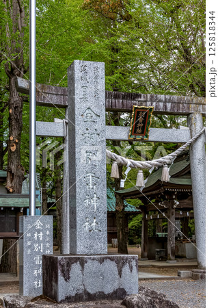 新緑に包まれる関東三雷神社の一つ金村別雷神社石碑 125818344