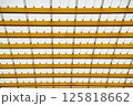 Modern Translucent Roof Structure with Yellow Steel Beams 125818662