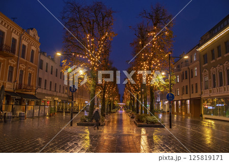 バルト三国のリトアニアの街並み バルト三国のリトアニアの街並み 125819171
