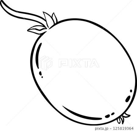 Kiwi Fruit Outline Illustration. Organic natural nutritional healthy food ingredient, vegetarian diet product. 125819364
