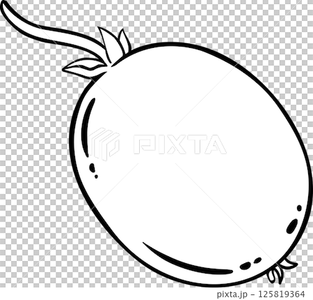 Kiwi Fruit Outline Illustration. Organic natural nutritional healthy food ingredient, vegetarian diet product. 125819364