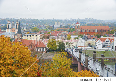 バルト三国のリトアニアの風景 125819411