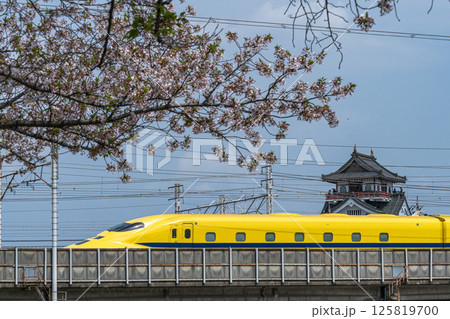 ドクターイエローと桜と清州城 125819700