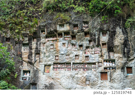 Funeral cliff site of Lemo in Toraja, Sulawesi, Indonesia 125819748