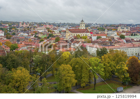 バルト三国のリトアニアの風景 125819994