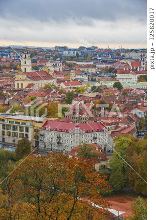バルト三国のリトアニアの風景 バルト三国のリトアニアの風景 125820017