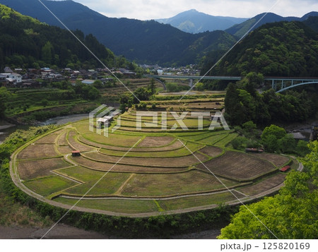 田植え前のあらぎ島 田植え前のあらぎ島 125820169