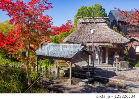 湯布院　下ん湯の紅葉 125820534