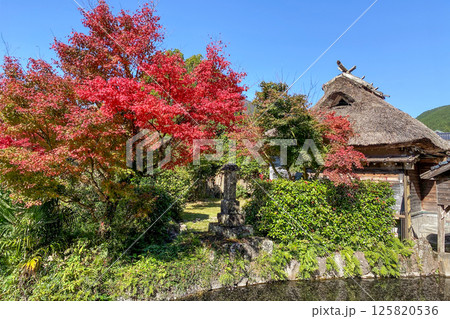 湯布院　下ん湯の紅葉 125820536