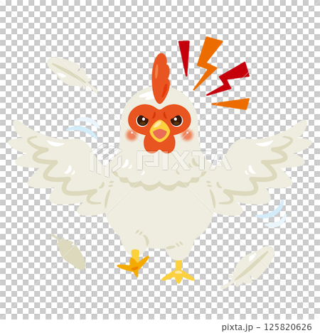 Angry chicken illustration 125820626