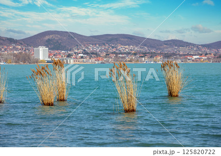 View of Balatonfured across Lake Balaton from the Tihany Peninsula, Hungary, Europe 125820722