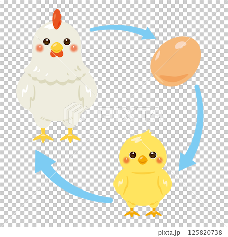 Egg, chick, chicken illustration set 125820738