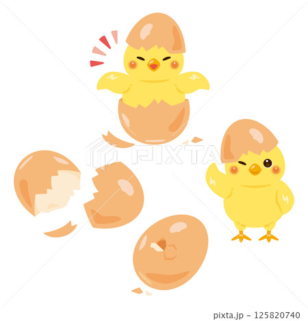羽化したヒヨコのイラストセット 125820740