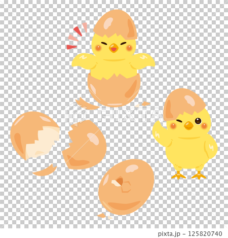 羽化したヒヨコのイラストセット 125820740