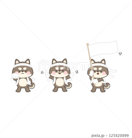 黒柴犬の白組応援団セット 125820899