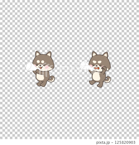 Black Shiba Inu cheering with a megaphone White team set 125820903