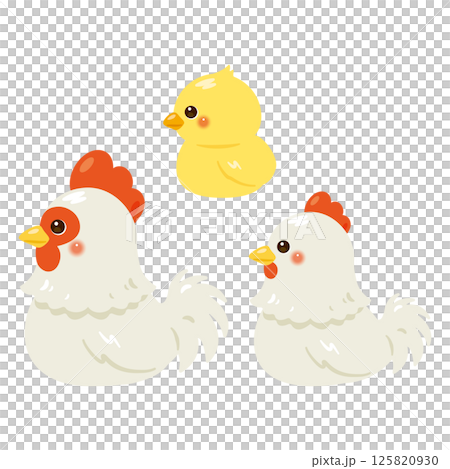 Set of sideways illustrations of sitting chickens and chicks Set of sideways illustrations of sitting chickens and chicks 125820930