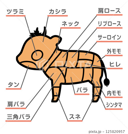 牛肉の部位のイラスト 文字あり 牛肉の部位のイラスト 文字あり 125820957