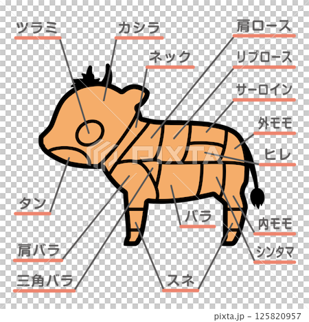 牛肉の部位のイラスト 文字あり 牛肉の部位のイラスト 文字あり 125820957