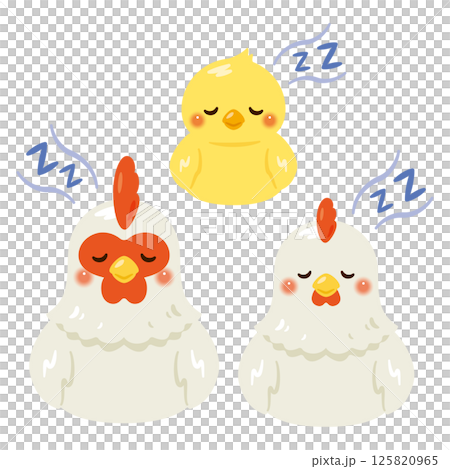お座りして眠るニワトリとヒヨコのイラストセット 125820965