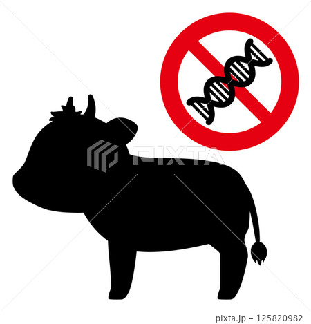 非遺伝子組み換えのウシのシルエットイラスト 125820982