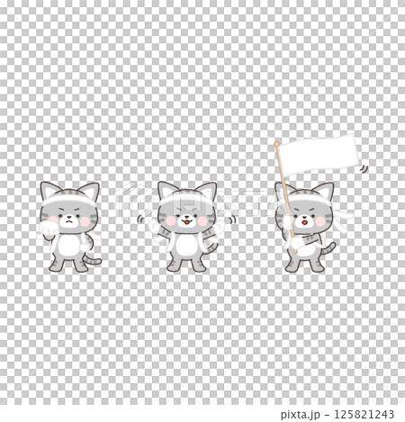 Sabatoru 貓白隊啦啦隊套裝 Sabatoru 貓白隊啦啦隊套裝 125821243