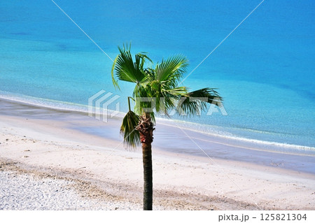 南国の美しいビーチ 125821304