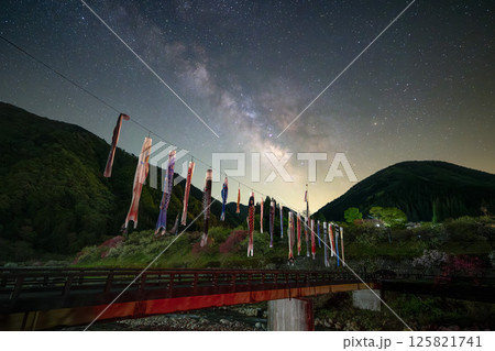 長野県阿智村 花桃咲き誇る里山の星空 長野県阿智村 花桃咲き誇る里山の星空 125821741