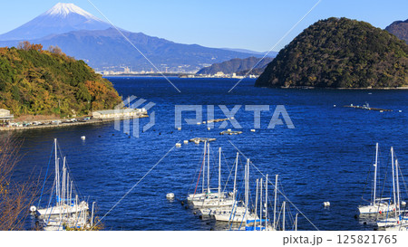 沼津市内浦湾からみた富士山 125821765