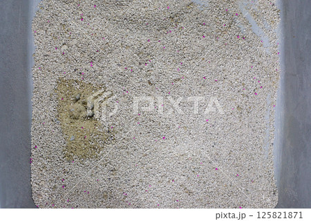 Cat litterbox, animal toilet closeup 125821871
