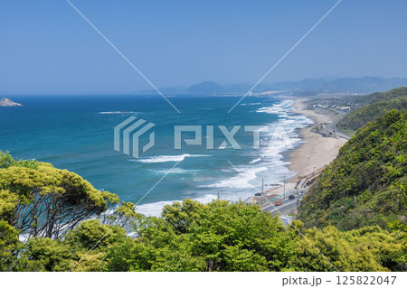 白兎海岸 125822047