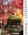 紅葉と苔生す灯篭 125822079