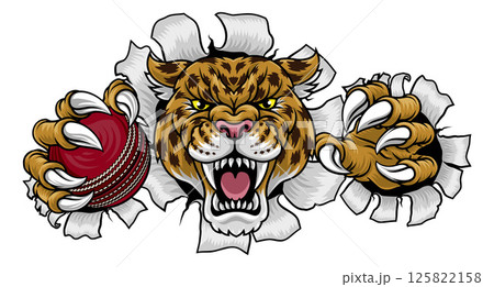 Jaguar Leopard Cheetah Panther Cricket Mascot Jaguar Leopard Cheetah Panther Cricket Mascot 125822158