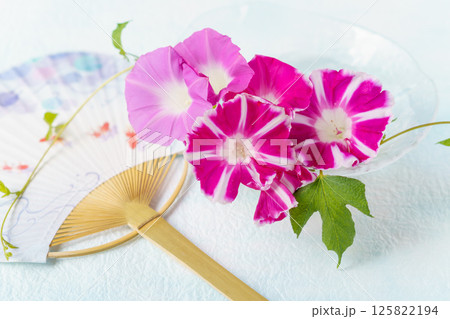 朝顔とうちわの夏イメージの背景 朝顔とうちわの夏イメージの背景 125822194