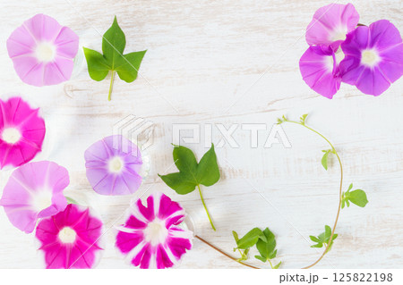 白い木目に朝顔のフラワーフレーム 白い木目に朝顔のフラワーフレーム 125822198