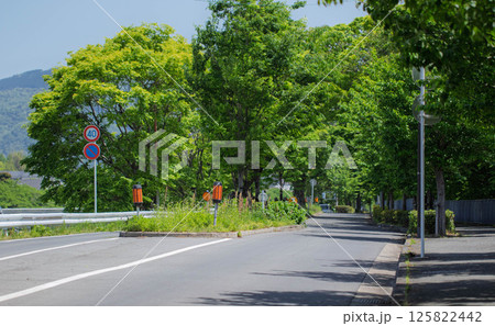 京都市、初夏の加茂街道（京都府道38号京都広河原美山線） 125822442