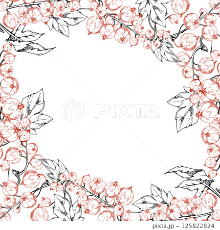 Currant gooseberry, green leaves on branch, ripe garden berry juneberry casseille jostaberry cluster group. Isolated square border frame vector ink hand drawn. Vegan grocery shop recipe cards cookbook 125822824