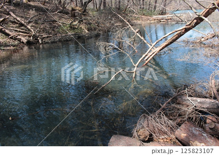 福島県裏磐梯五色沼湖沼群　青い毘沙門沼 125823107