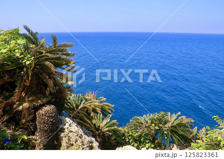 宜名真展望台（沖縄県・国頭村） 125823361