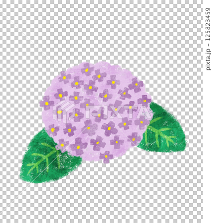 Simple crayon-style hydrangea purple Simple crayon-style hydrangea purple 125823459