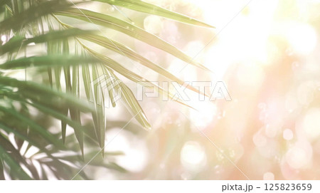 Beautiful blurred background of an exotic beach sunset with palm leaves 125823659