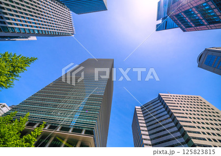 日本の東京都市景観 大手町プレイスなどを望む。緑溢れる大手町のビジネス街…＝5月3日 125823815
