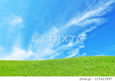 秋の青空と綺麗な草原風景 125823997