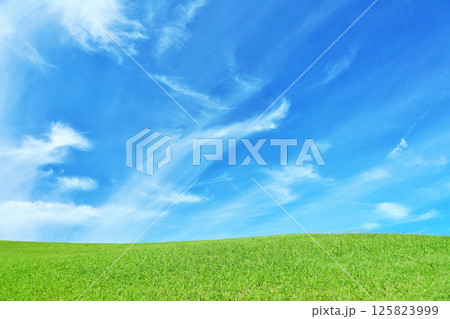 秋の青空と綺麗な草原風景 125823999